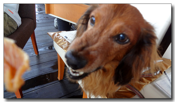 20130615084847.JPG