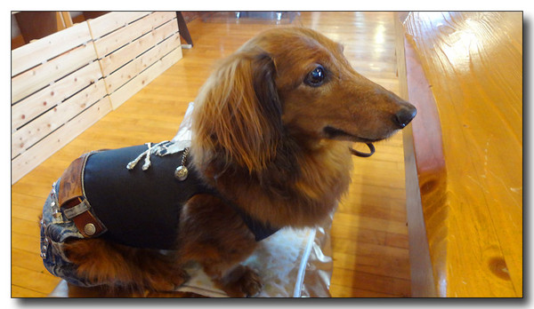 20130615134057.JPG