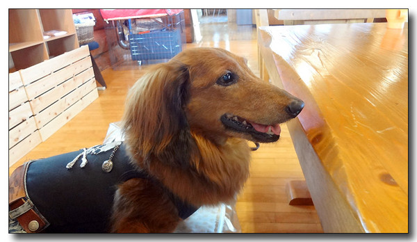 20130615134058.JPG