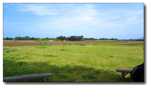 20130615224012.JPG
