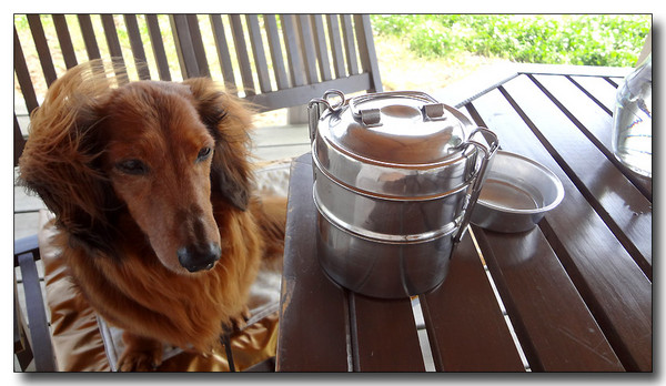 20130615224131.JPG