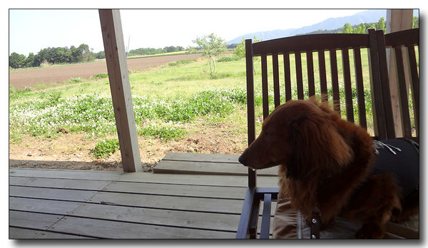 20130615224202.JPG