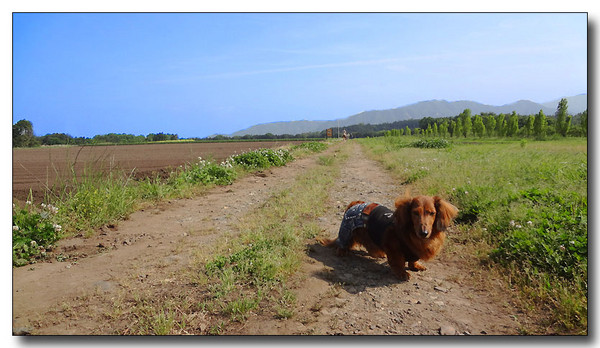 20130615224204.JPG