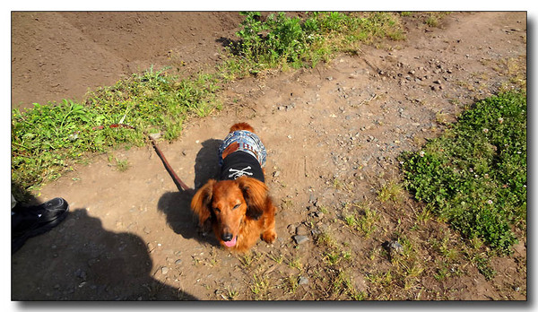 20130615224229.JPG