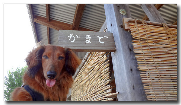 20130615224241.JPG