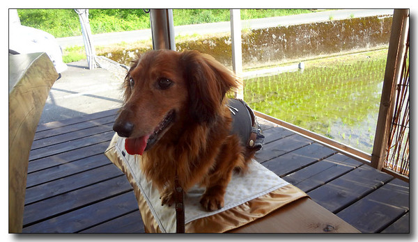 20130616071221.JPG