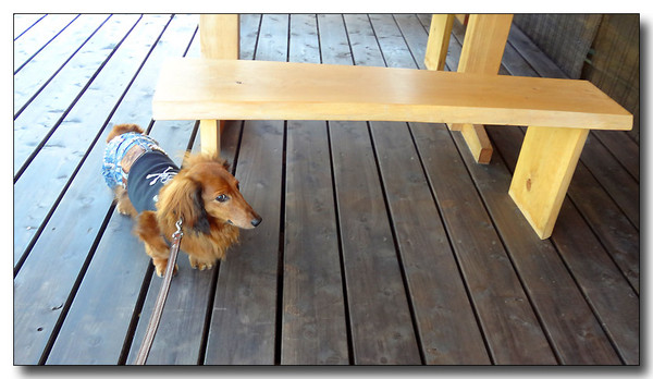 20130616071310.JPG
