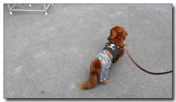 20130616084938.JPG