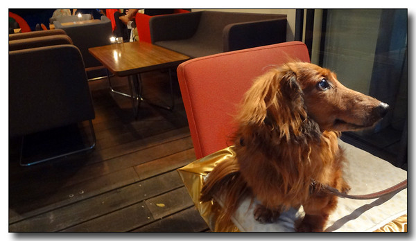 20130616092643.JPG