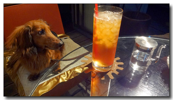20130616092644.JPG