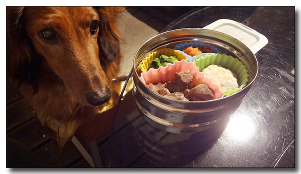 20130616092701.JPG