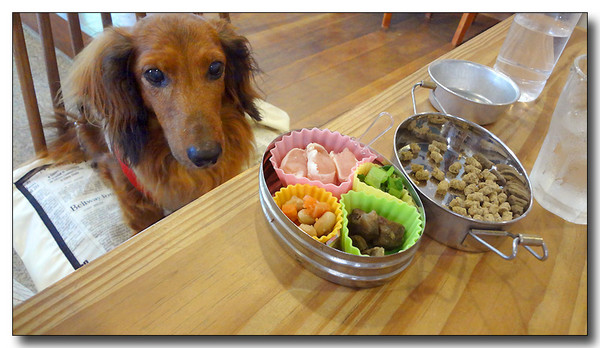 20130617103156.JPG