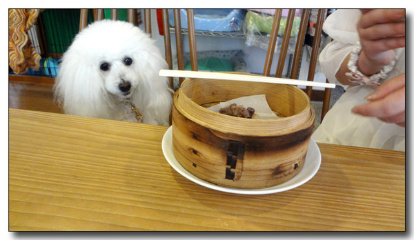 20130617103158.JPG