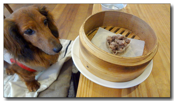20130617103159.JPG