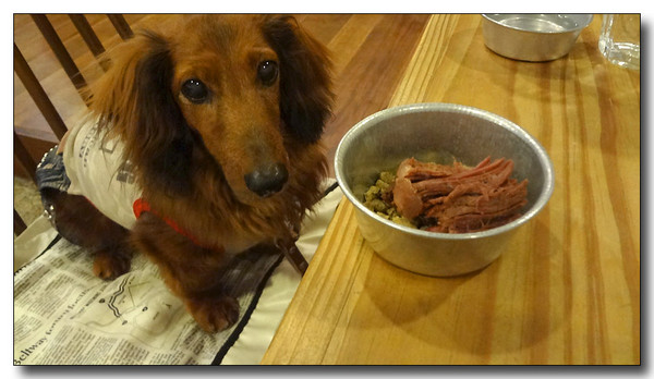 20130617103234.JPG