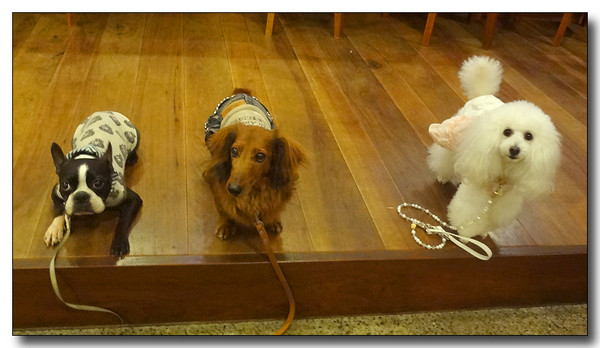20130617103244.JPG