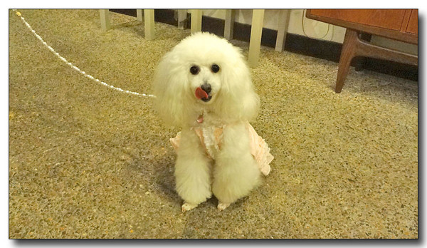 20130617103246.JPG