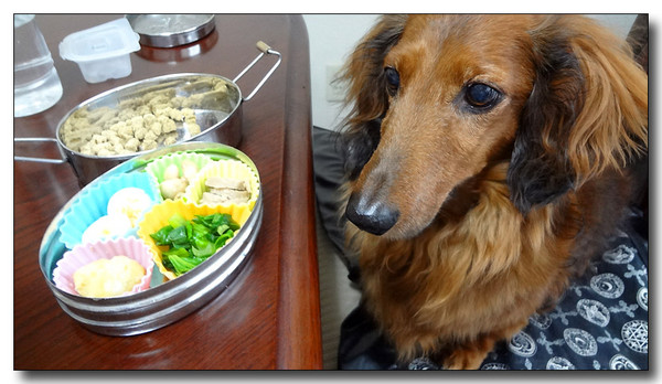 20130617220615.JPG