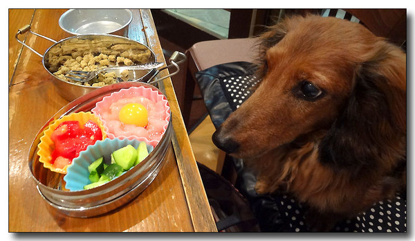 20130618084235.JPG