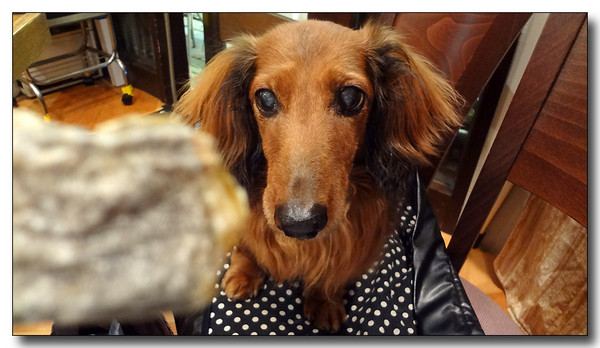 20130618084308.JPG