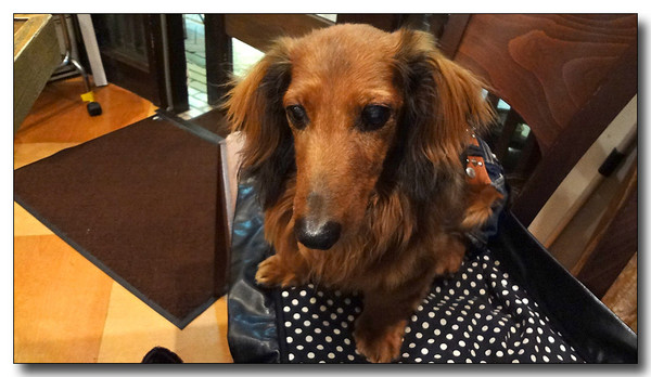 20130618084349.JPG