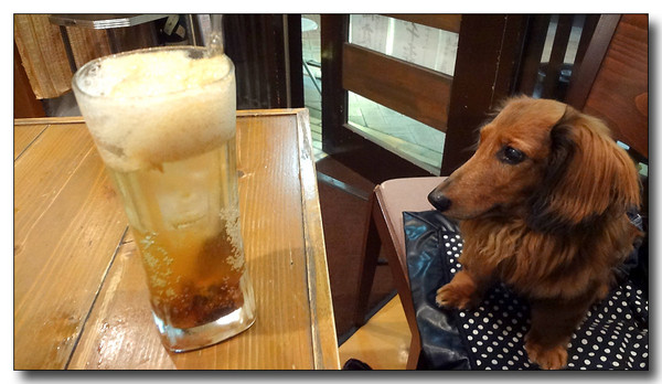 20130618084350.JPG