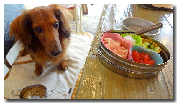 20130618094411.JPG