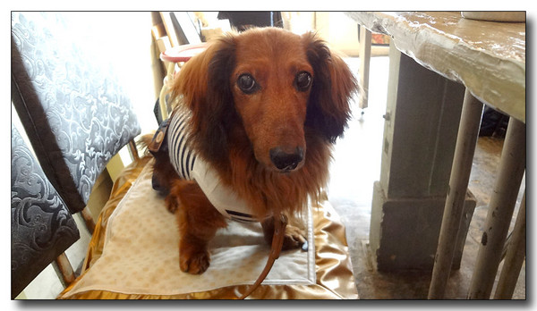 20130618094413.JPG