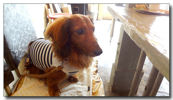 20130618094414.JPG