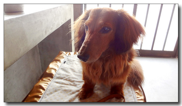 20130618140021.JPG