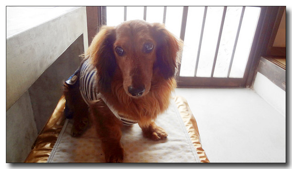 20130618140049.JPG