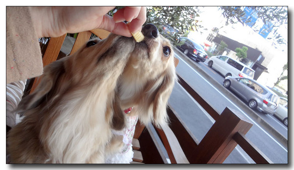 20130518173827.JPG