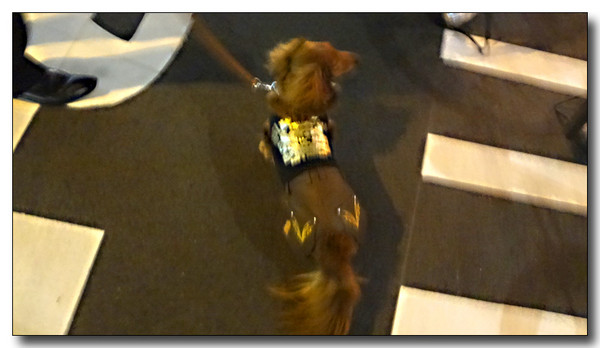 20130519101717.JPG