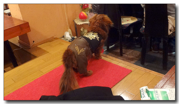 20130519101736.JPG
