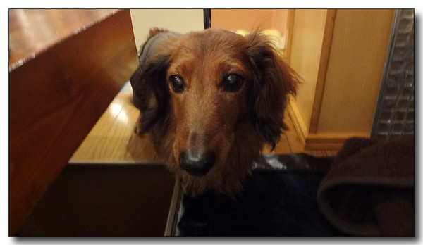 20130519101738.JPG