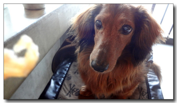 20130520222823.JPG