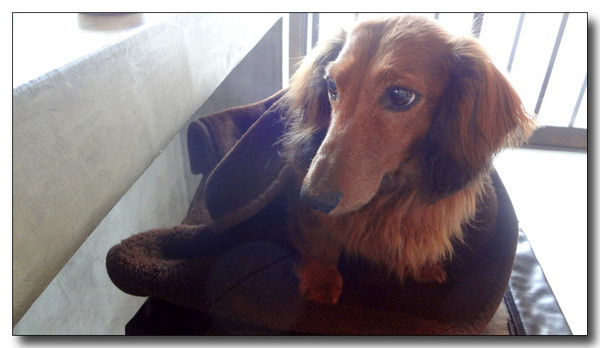 20130520222836.JPG