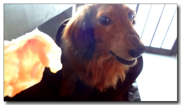 20130520222837.JPG