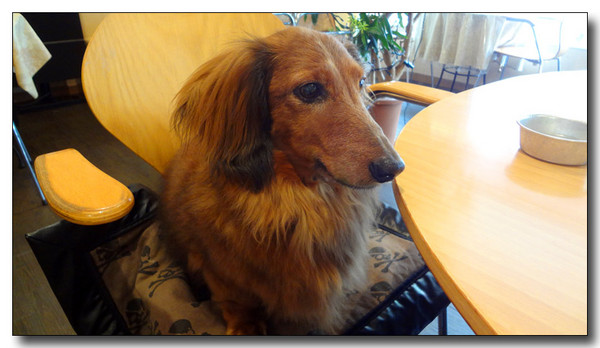20130521063432.JPG