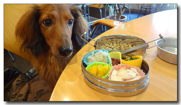 20130521063452.JPG