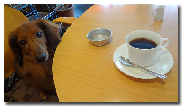 20130521063453.JPG