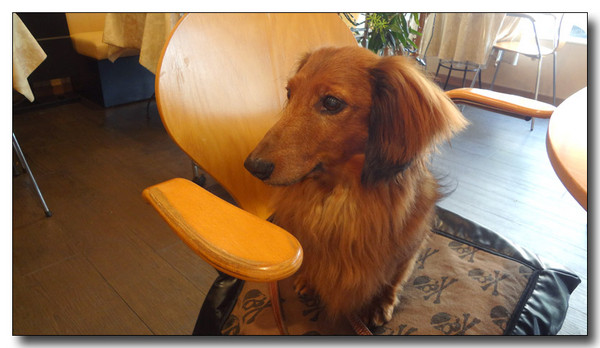 20130521063454.JPG