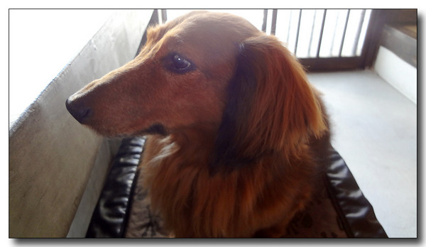 20130521065653.JPG