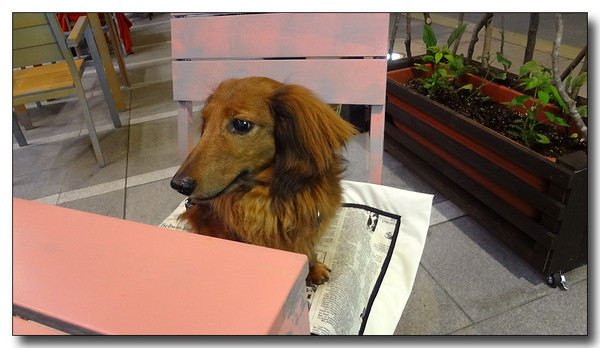 20130521105248.JPG