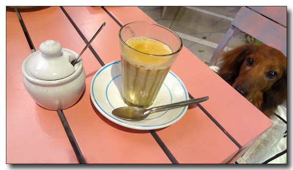 20130521105250.JPG