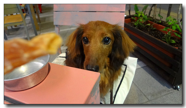 20130521105251.JPG