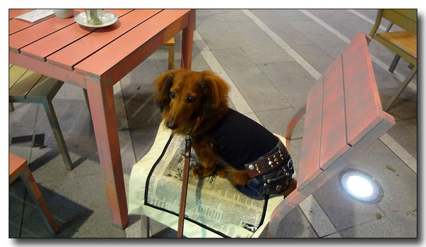 20130521105321.JPG