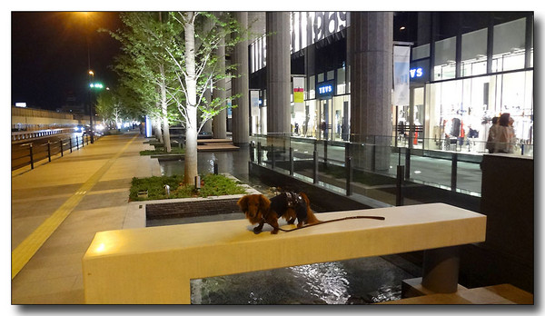 20130521105341.JPG