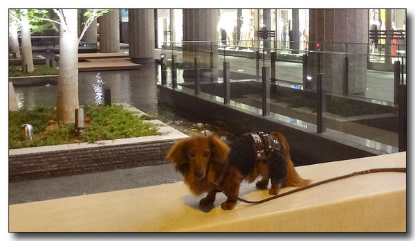 20130521105342.JPG