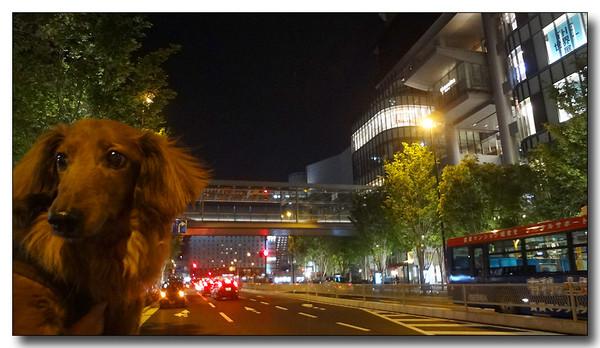 20130521105343.JPG